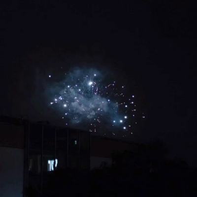 逃离鸭子模拟器单机手机版(暂未上线)v1.0.0 安卓版